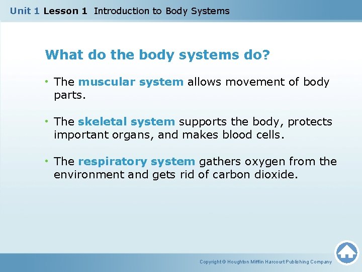 Unit 1 Lesson 1 Introduction to Body Systems What do the body systems do? Unit 1 Lesson 1 Introduction to Body Systems What do the body systems do?
