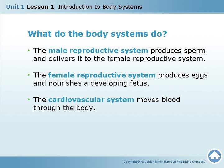 Unit 1 Lesson 1 Introduction to Body Systems What do the body systems do? Unit 1 Lesson 1 Introduction to Body Systems What do the body systems do?
