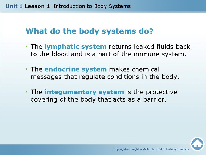 Unit 1 Lesson 1 Introduction to Body Systems What do the body systems do? Unit 1 Lesson 1 Introduction to Body Systems What do the body systems do?