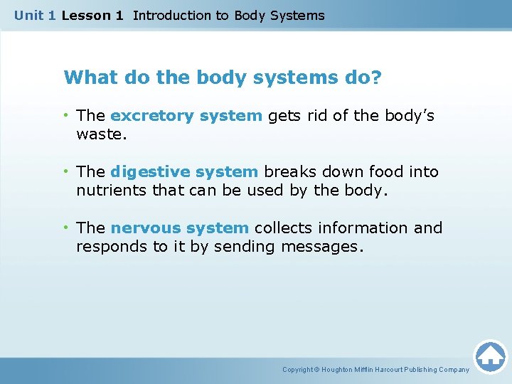 Unit 1 Lesson 1 Introduction to Body Systems What do the body systems do? Unit 1 Lesson 1 Introduction to Body Systems What do the body systems do?
