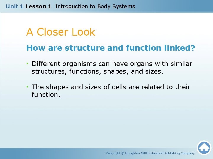 Unit 1 Lesson 1 Introduction to Body Systems A Closer Look How are structure Unit 1 Lesson 1 Introduction to Body Systems A Closer Look How are structure