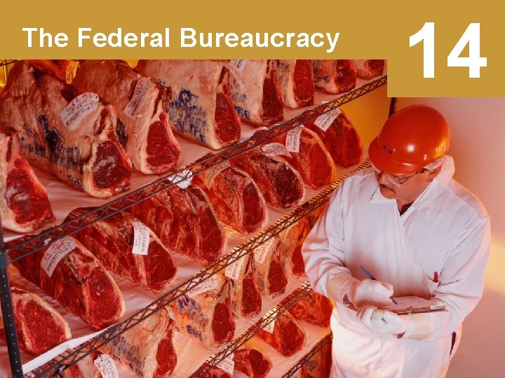 The Federal Bureaucracy 14 