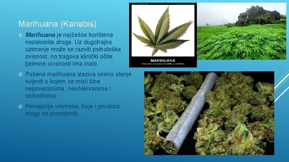 Marihuana (Kanabis) Marihuana je najčešće korištena nezakonita droga. Uz dugotrajno uzimanje može se razviti