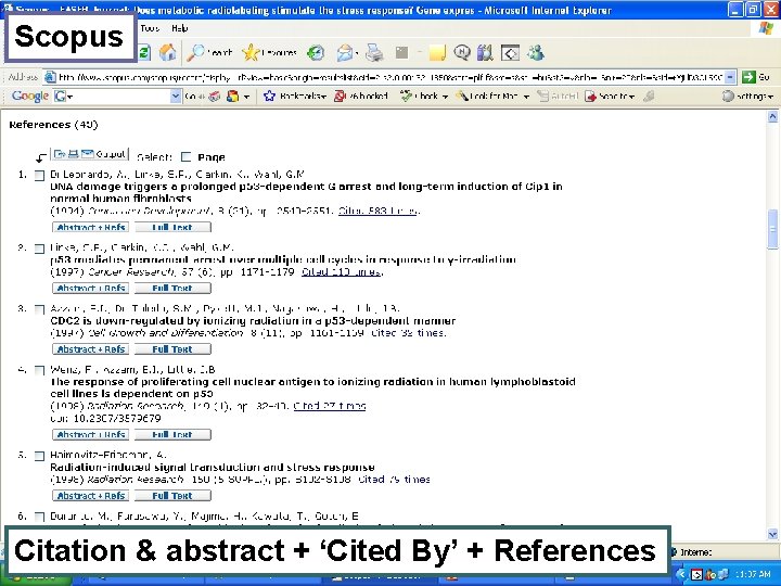 Scopus Citation & abstract + ‘Cited By’ + References 