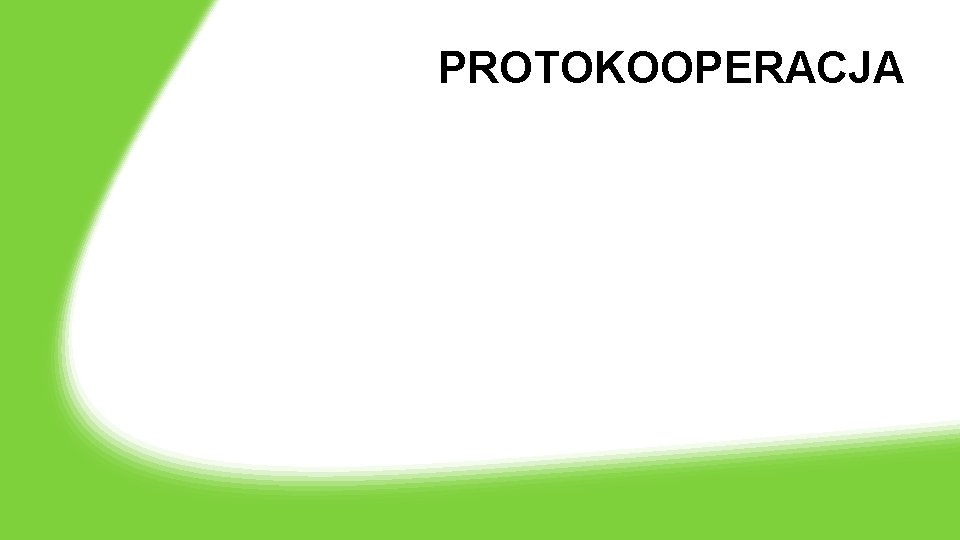 PROTOKOOPERACJA 