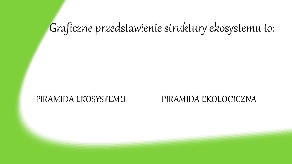 Graficzne przedstawienie struktury ekosystemu to: PIRAMIDA EKOSYSTEMU PIRAMIDA EKOLOGICZNA 