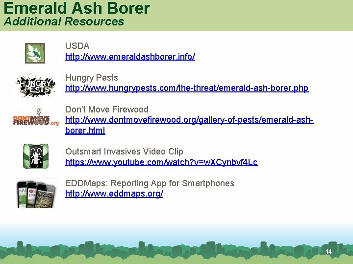 Emerald Ash Borer Additional Resources USDA http: //www. emeraldashborer. info/ Hungry Pests http: //www.