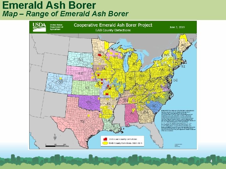 Emerald Ash Borer Map – Range of Emerald Ash Borer American Elm 4 