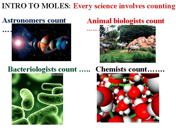 INTRO TO MOLES: Every science involves counting Astronomers count …… Animal biologists count …….