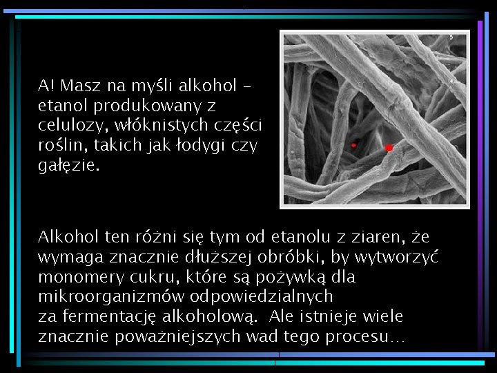 A! Masz na myśli alkohol – etanol produkowany z celulozy, włóknistych części roślin, takich