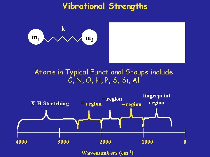 Vibrational Strengths k m 1 m 2 Atoms in Typical Functional Groups include C,