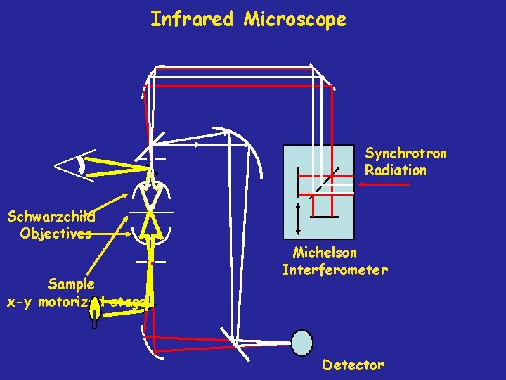 Infrared Microscope Synchrotron Radiation Schwarzchild Objectives Sample x-y motorized stage Michelson Interferometer Detector 