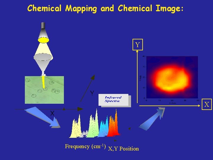 Chemical Mapping and Chemical Image: Y X Frequency (cm-1) X, Y Position 