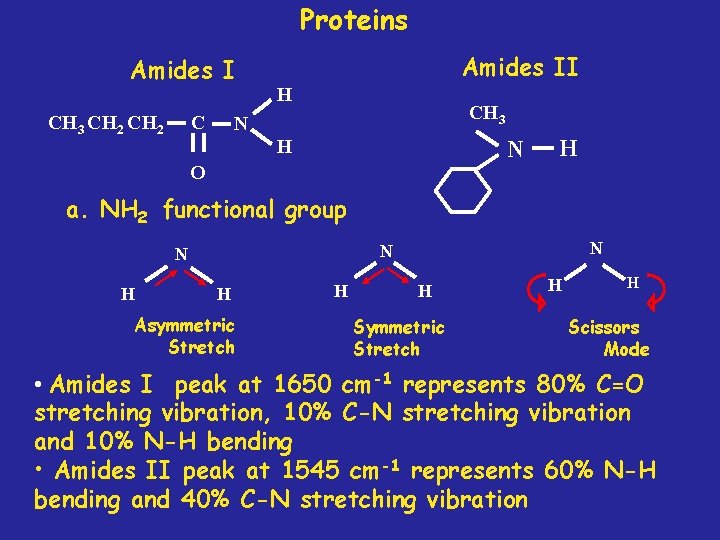 Proteins Amides I C CH 3 CH 2 Amides II H CH 3 N
