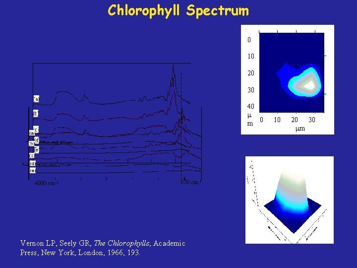 Chlorophyll Spectrum 0 10 20 30 40 m 0 4000 cm-1 650 cm-1 Vernon