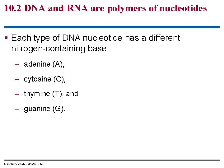 10. 2 DNA and RNA are polymers of nucleotides § Each type of DNA