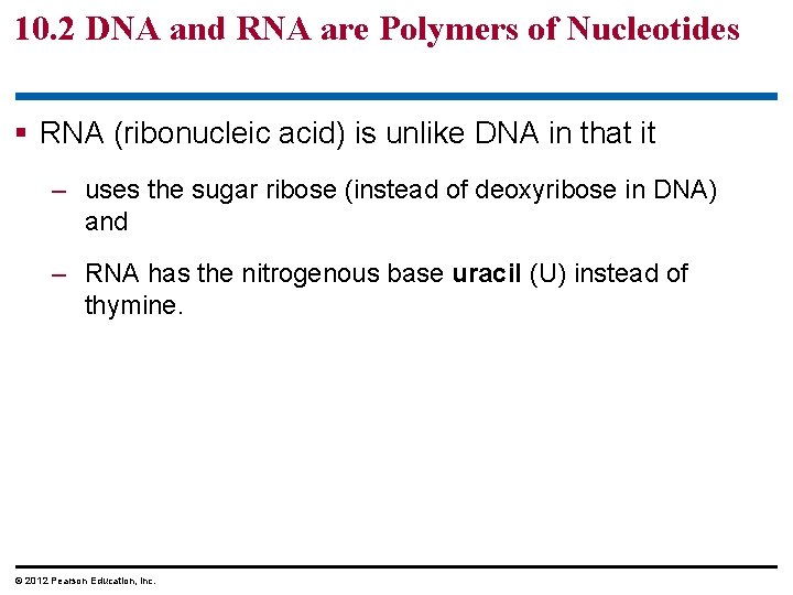 10. 2 DNA and RNA are Polymers of Nucleotides § RNA (ribonucleic acid) is