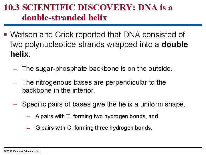 10. 3 SCIENTIFIC DISCOVERY: DNA is a double-stranded helix § Watson and Crick reported