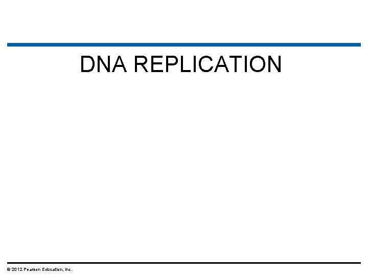 DNA REPLICATION © 2012 Pearson Education, Inc. 