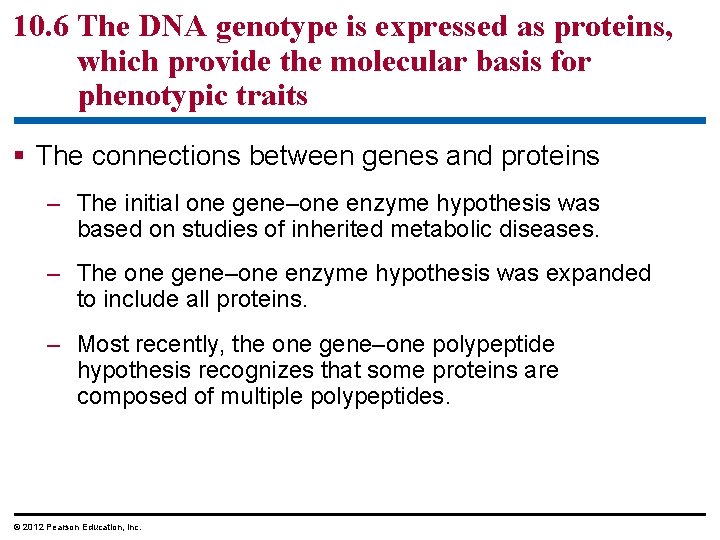 10. 6 The DNA genotype is expressed as proteins, which provide the molecular basis