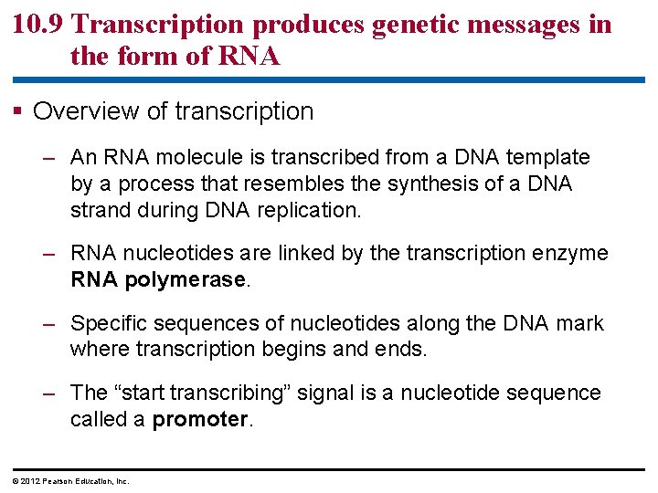 10. 9 Transcription produces genetic messages in the form of RNA § Overview of