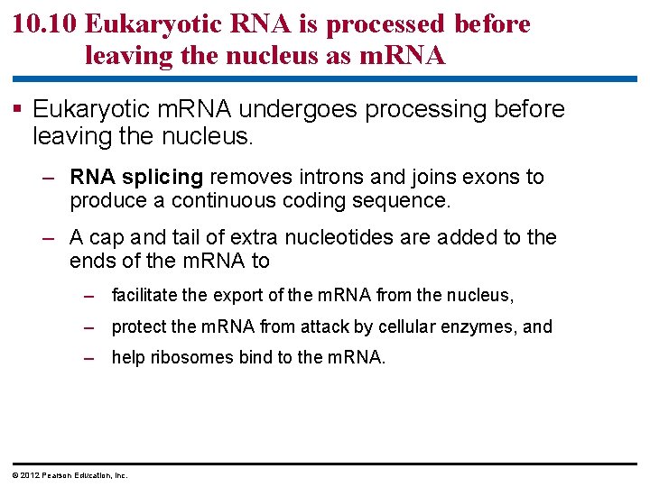 10. 10 Eukaryotic RNA is processed before leaving the nucleus as m. RNA §