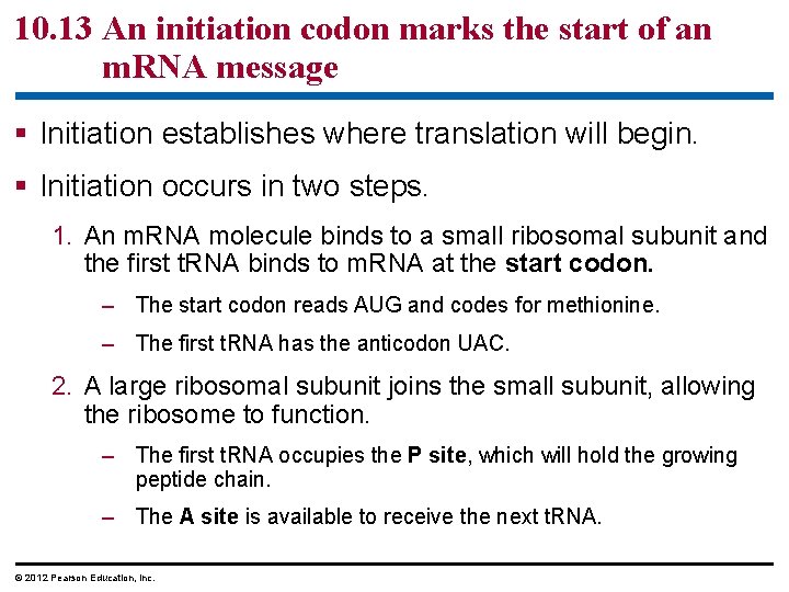 10. 13 An initiation codon marks the start of an m. RNA message §