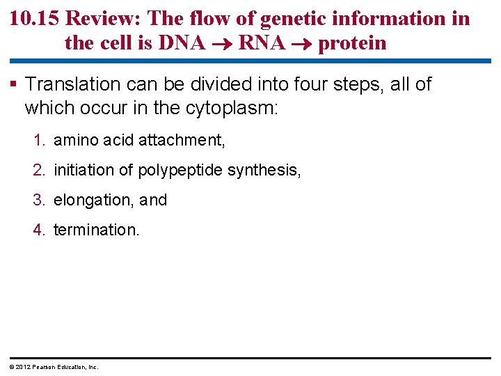 10. 15 Review: The flow of genetic information in the cell is DNA RNA