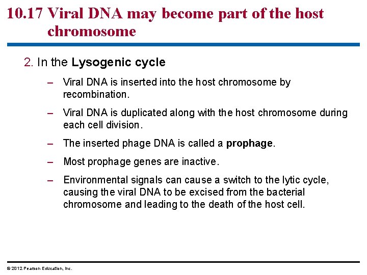 10. 17 Viral DNA may become part of the host chromosome 2. In the