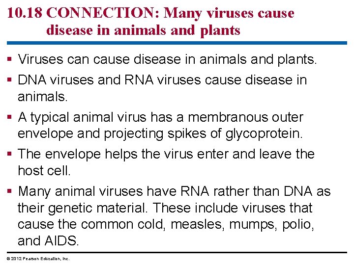 10. 18 CONNECTION: Many viruses cause disease in animals and plants § Viruses can