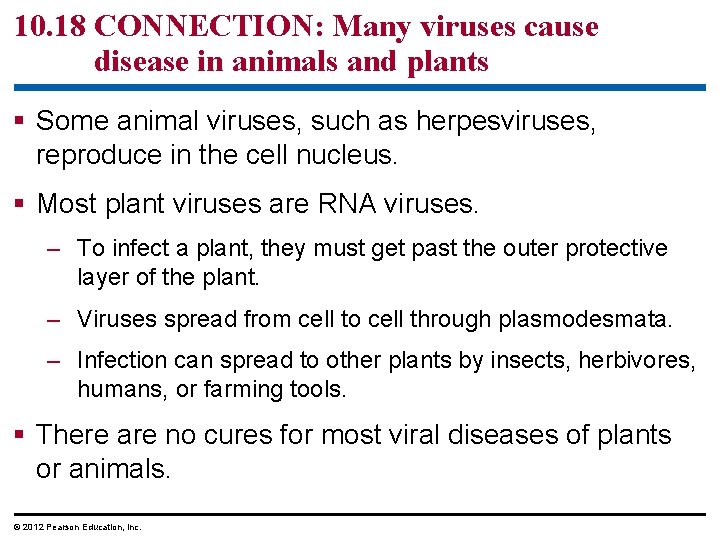 10. 18 CONNECTION: Many viruses cause disease in animals and plants § Some animal