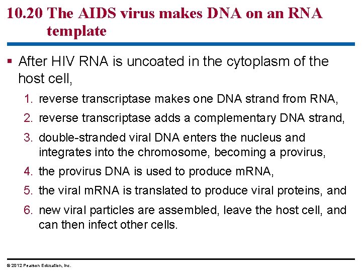 10. 20 The AIDS virus makes DNA on an RNA template § After HIV