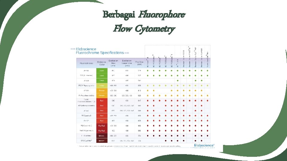 Berbagai Fluorophore Flow Cytometry 