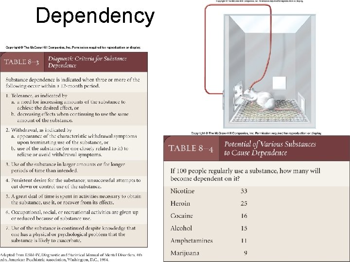 Dependency 