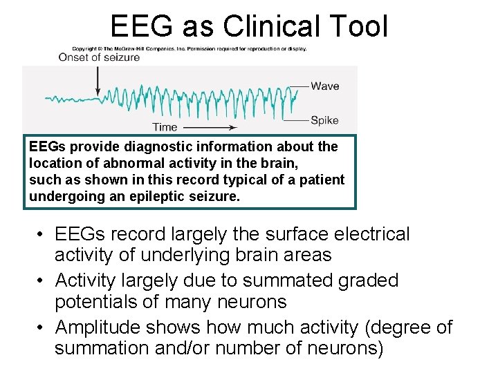 EEG as Clinical Tool EEGs provide diagnostic information about the location of abnormal activity