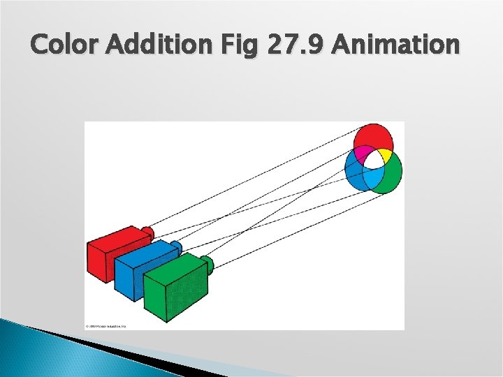 Color Addition Fig 27. 9 Animation 