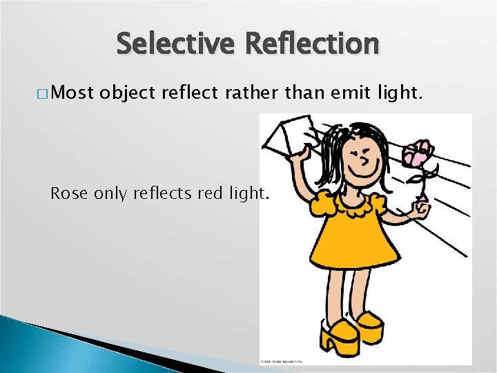 Selective Reflection � Most object reflect rather than emit light. Rose only reflects red