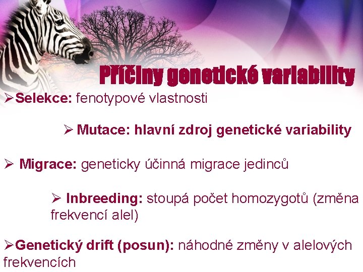 Příčiny genetické variability ØSelekce: fenotypové vlastnosti Ø Mutace: hlavní zdroj genetické variability Ø Migrace: