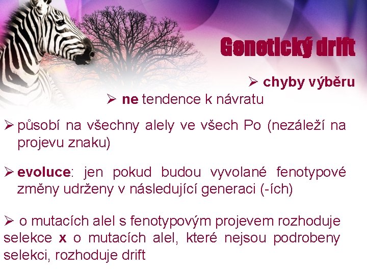 Genetický drift Ø chyby výběru Ø ne tendence k návratu Ø působí na všechny