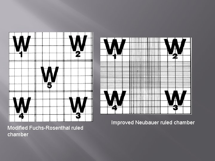 Modified Fuchs-Rosenthal ruled chamber Improved Neubauer ruled chamber 