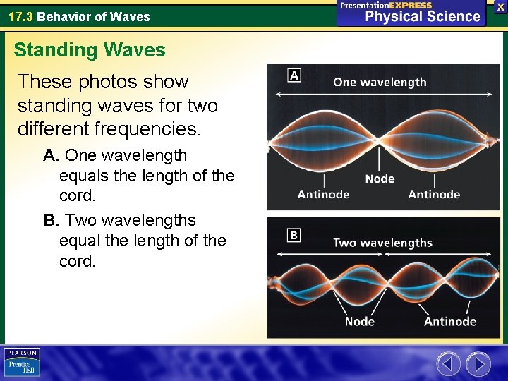 17. 3 Behavior of Waves Standing Waves These photos show standing waves for two