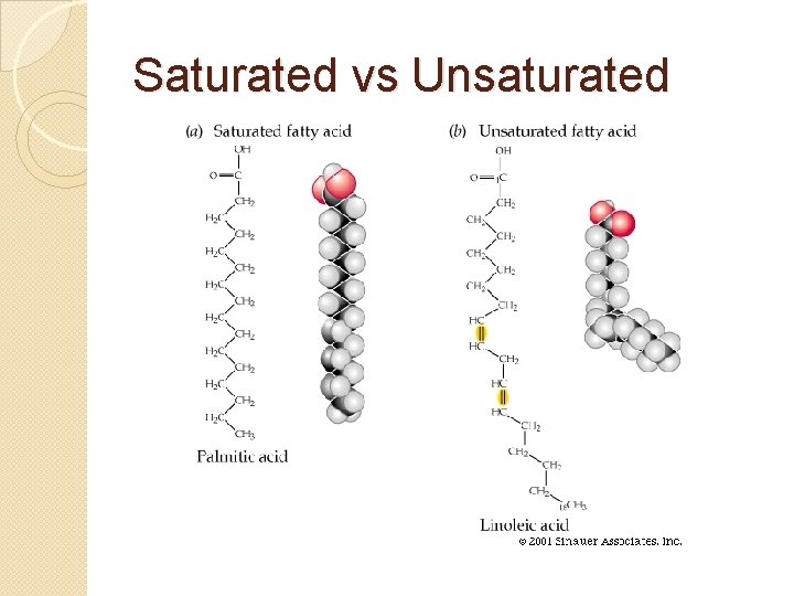 Saturated vs Unsaturated 