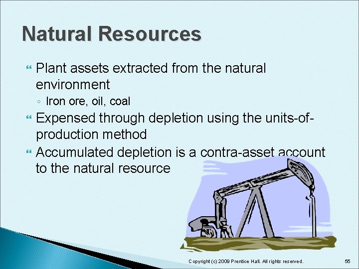 Natural Resources Plant assets extracted from the natural environment ◦ Iron ore, oil, coal