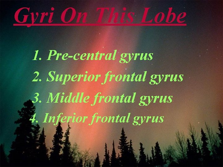 Gyri On This Lobe 1. Pre-central gyrus 2. Superior frontal gyrus 3. Middle frontal