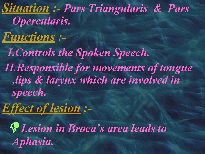 Situation : - Pars Triangularis & Pars Opercularis. Functions : I. Controls the Spoken