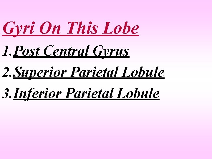 Gyri On This Lobe 1. Post Central Gyrus 2. Superior Parietal Lobule 3. Inferior