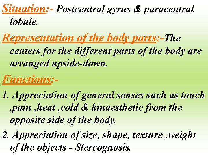 Situation: - Postcentral gyrus & paracentral lobule. Representation of the body parts: -The centers