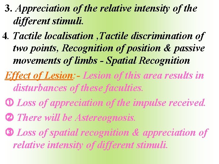 3. Appreciation of the relative intensity of the different stimuli. 4. Tactile localisation ,
