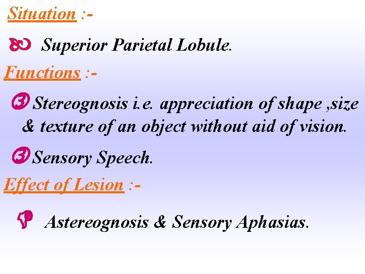 Situation : - Superior Parietal Lobule. Functions : - Stereognosis i. e. appreciation of