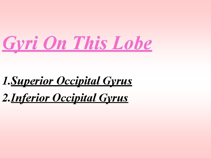 Gyri On This Lobe 1. Superior Occipital Gyrus 2. Inferior Occipital Gyrus 